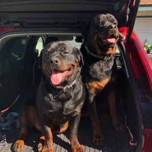 Meet your Posher, Tammy